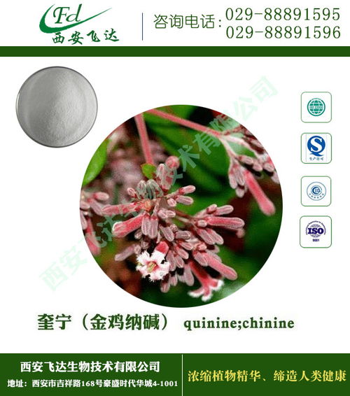 植物提取物 飛達(dá)生物 植物提取物廠家