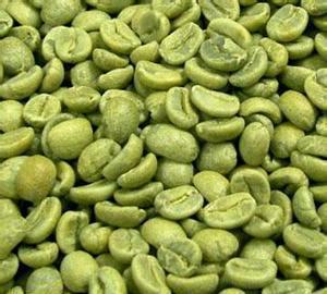 綠咖啡豆提取物綠原酸長(zhǎng)沙上禾生物植物提取物系列